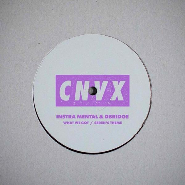 What We Got / Seren's Theme - Single - Instra:mental & dBridge
