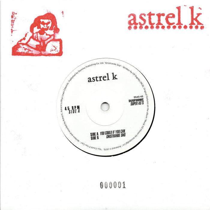 You Could If You Can - Astrel K