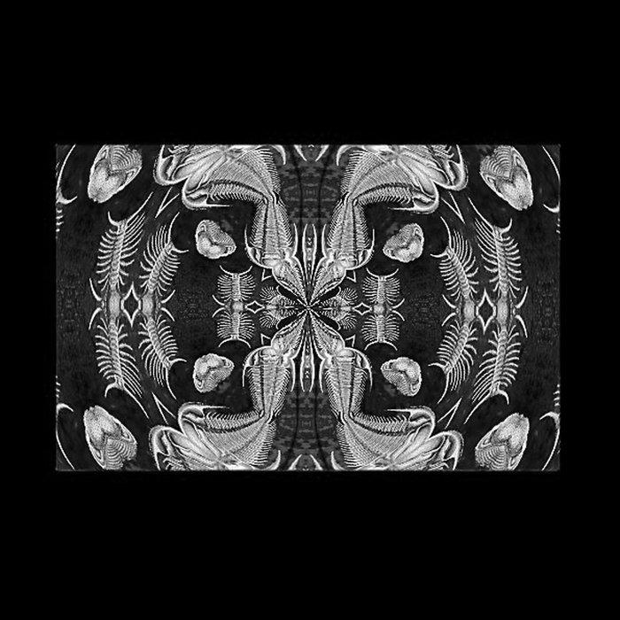 Archival compilation 1979 - 1989 - Genetic Factor