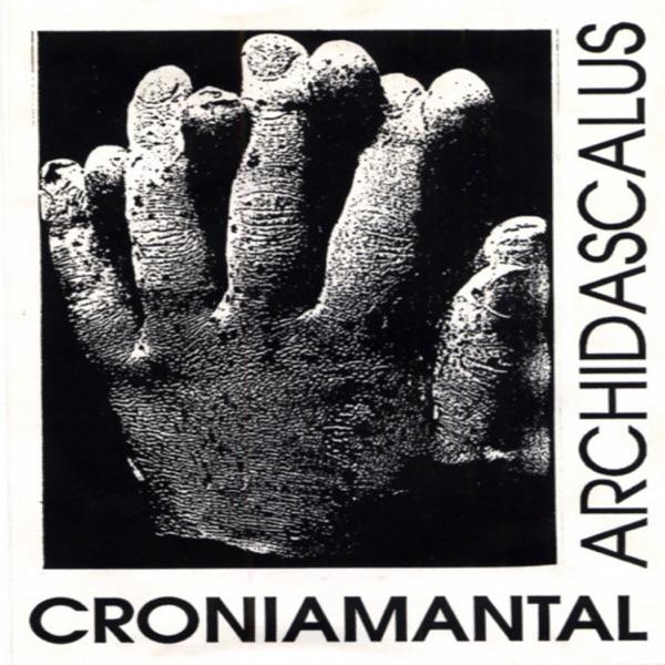 Archidascalus - Croniamantal