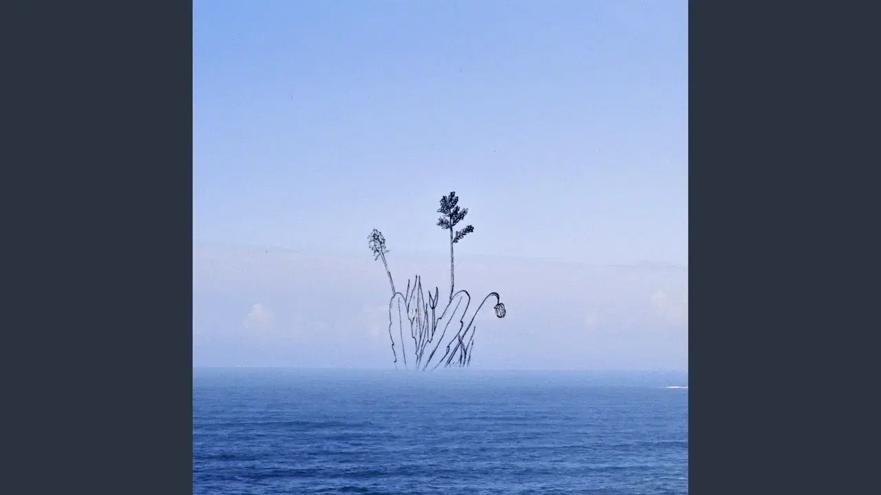 Wander Into - Ann Annie