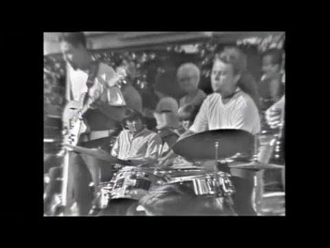 The Surfaris Play Wipe Out - The Surfaris