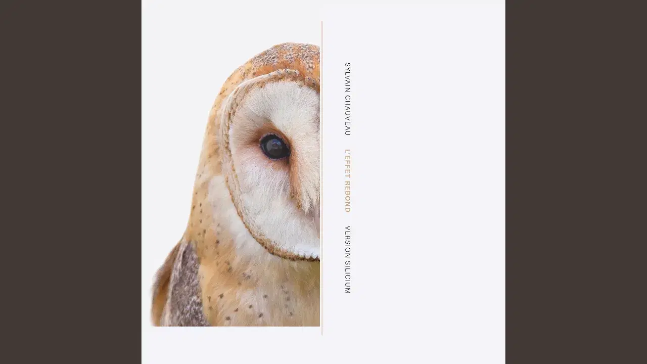 L'Effet Rebond (Version Silicium) - Sylvain Chauveau