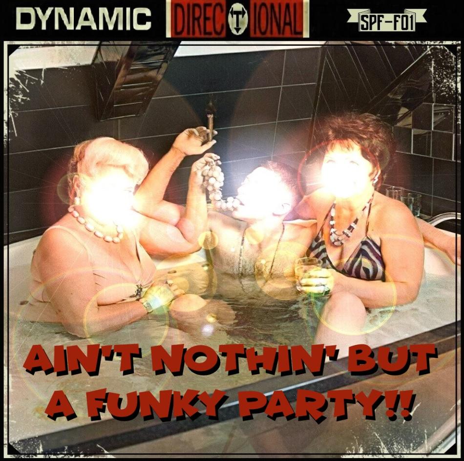 Ain't Nothin' but a Funky Party!! - Stormy