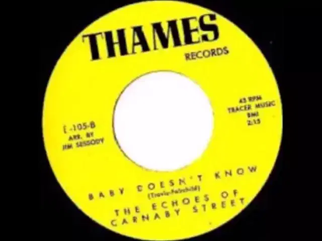  - The Echoes Of Carnaby Street