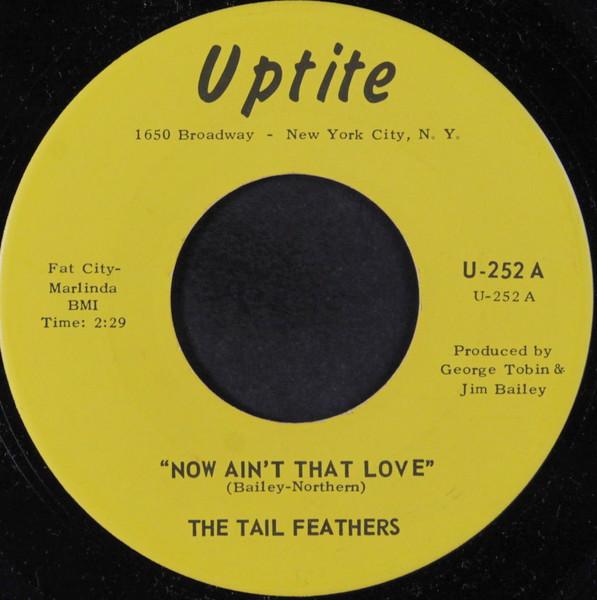  - The Tail Feathers
