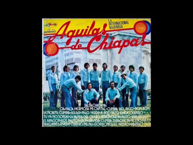  - Marimba Aguilas de Chiapas