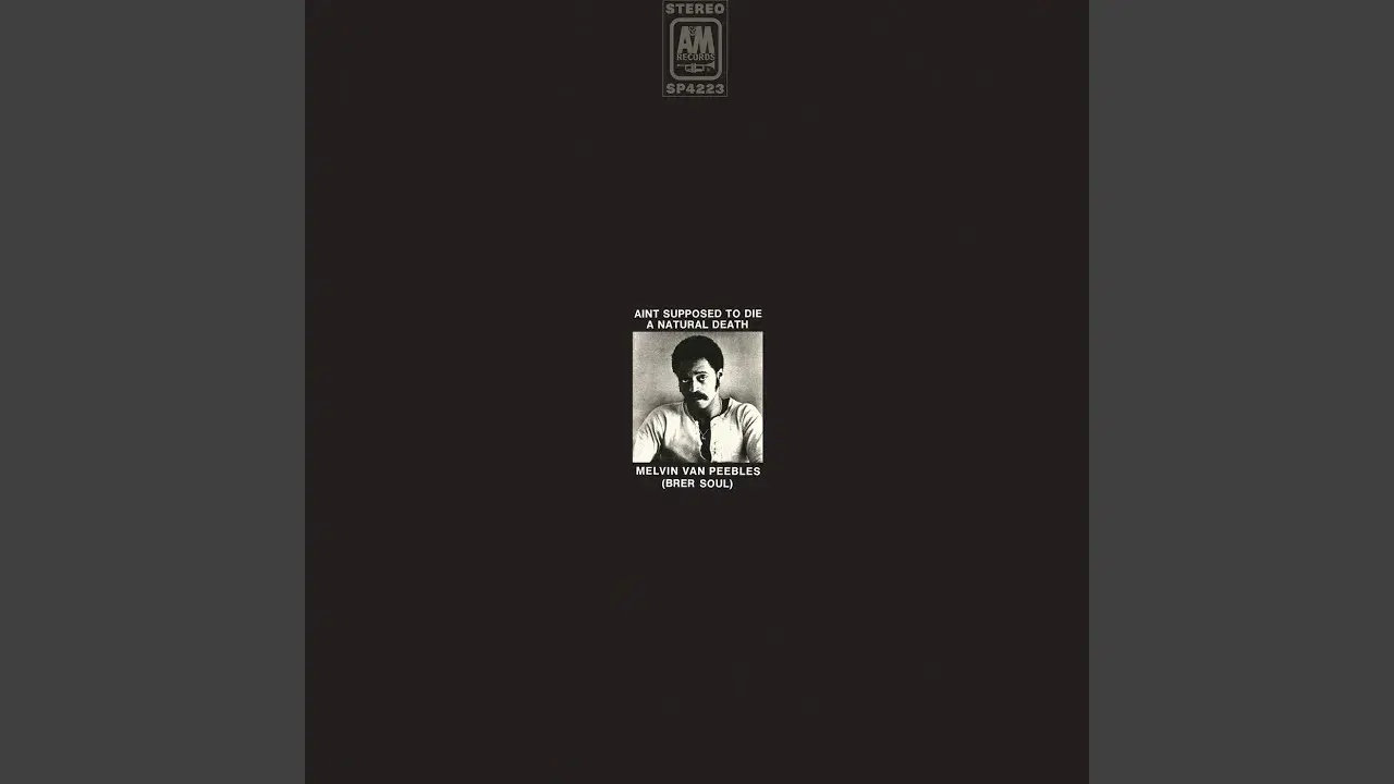 Sweet Sweetback's Baadasssss Song - Melvin Van Peebles