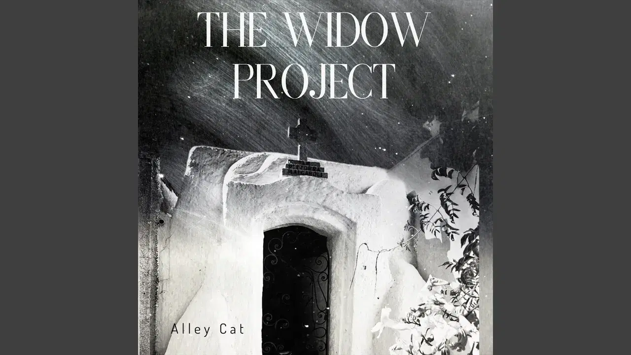 The Widow Project - Alley Cat