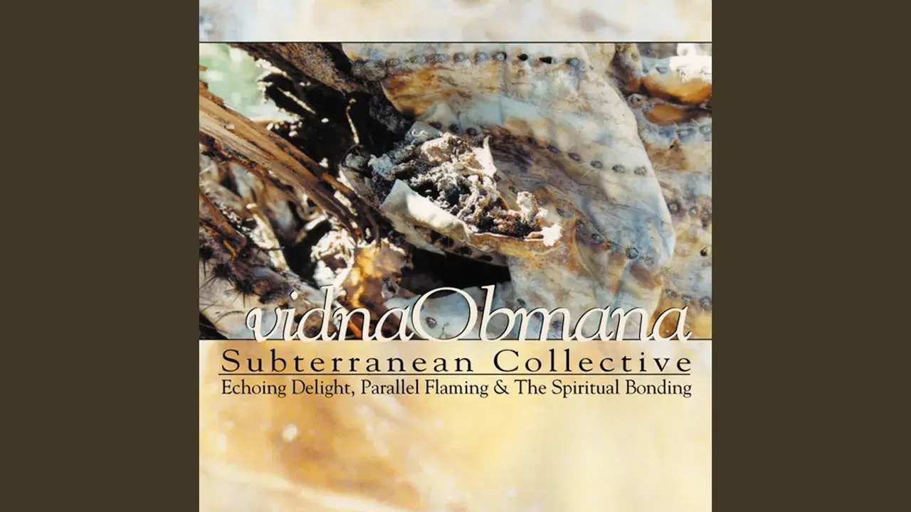 Into The Heart Of The Eternal (An Introduction) - Vidna Obmana