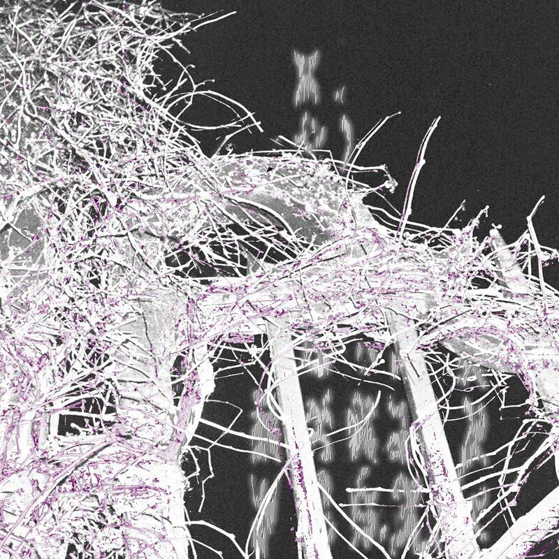 Sunchaser - Sunchaser