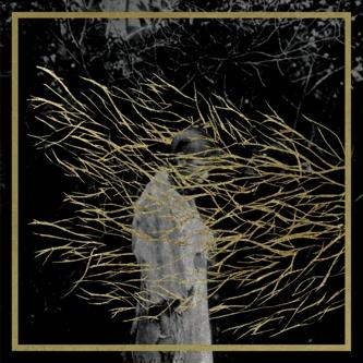 Engravings - Forest Swords