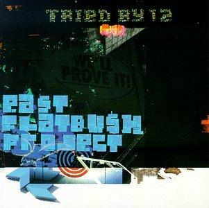 Tried by 12 - East Flatbush Project