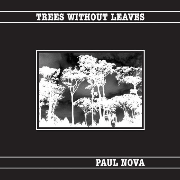 Trees Without Leaves - Paul Nova