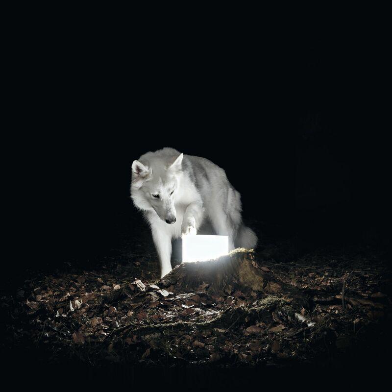 Surveillance - Vanishing Life