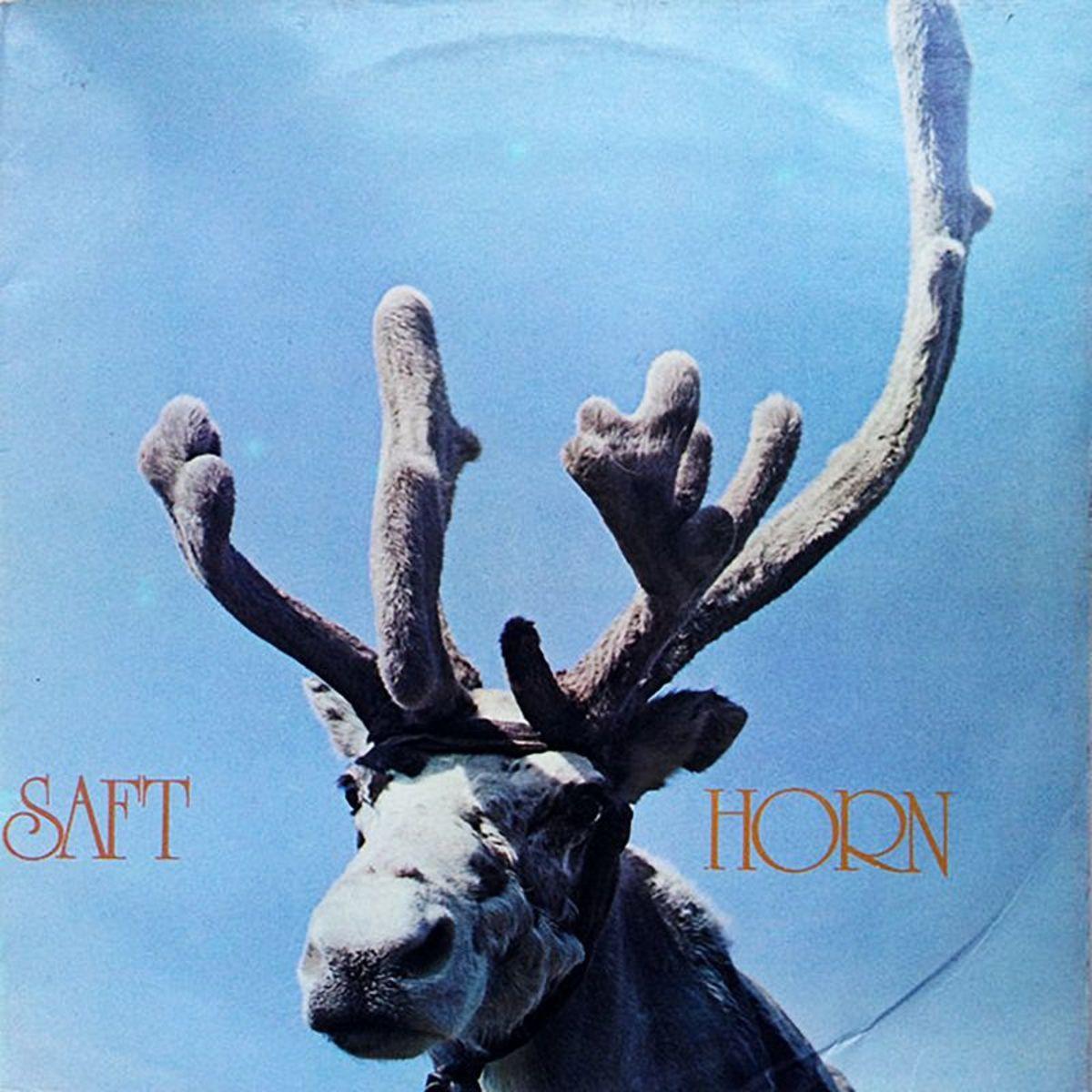 horn [1971] - saft