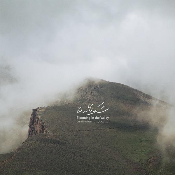 Blooming in the Valley - Omid Shabani
