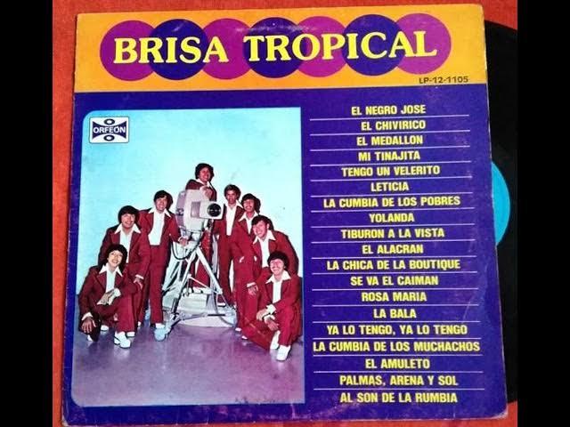  - Brisa Tropical