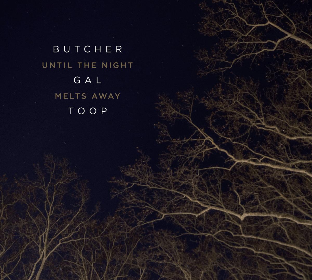 Until The Night Melts Away - John Butcher, Sharon Gal & David Toop