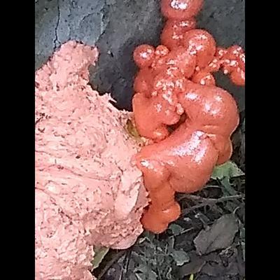  - マリリン愛