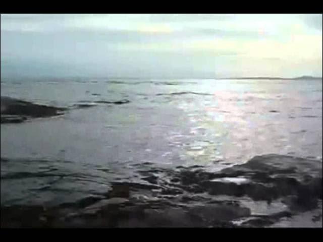 It's Up To You - John Fox