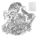 Trabalhos Carnívoros - Amabis