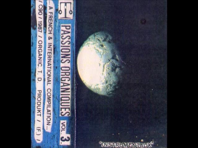 Passions Organiques Vol. 3 "Instrumentaux" & Vol. 4 "Songs" - The Spinoza Sisters