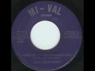 Wake Up To The Sunshine Girl - Joey Delorenzo