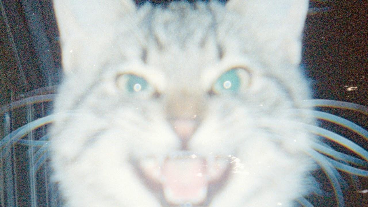  - Leopard Gum (Smagghe & Cross Vocal Remix)