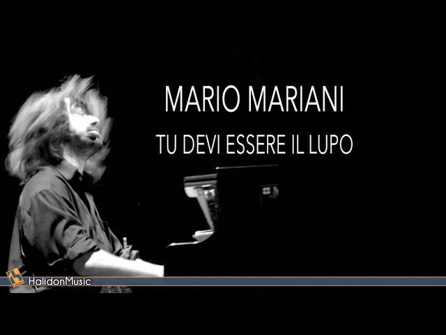 Voyage Vers l'Harmonie - Luc Marianni
