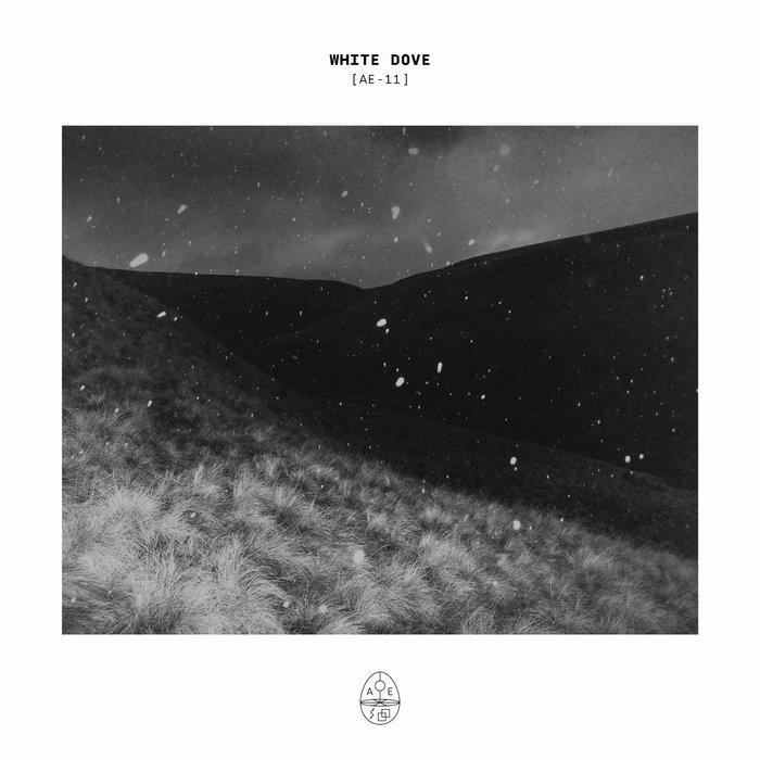 White Dove | AE–11 - White Dove