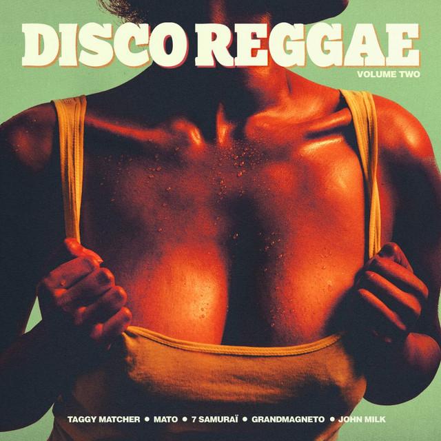 Disco Reggae, Vol. 2 - The Fool