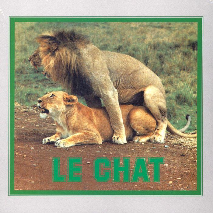 Le Chat - PUSSYCAT