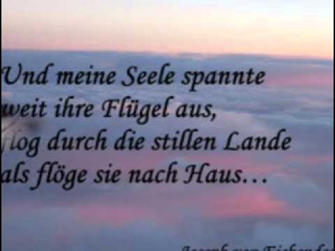  - Bergheim 23