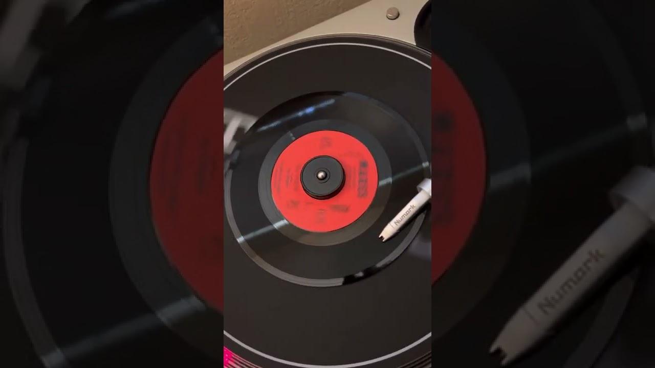 Dr. Felix - Tutti & Latin Breed