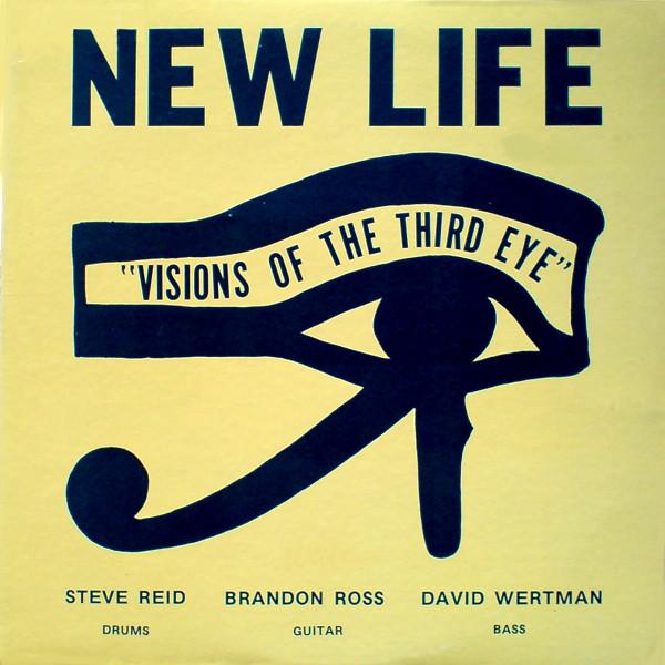 Visions Of The Third Eye - New Life Trio