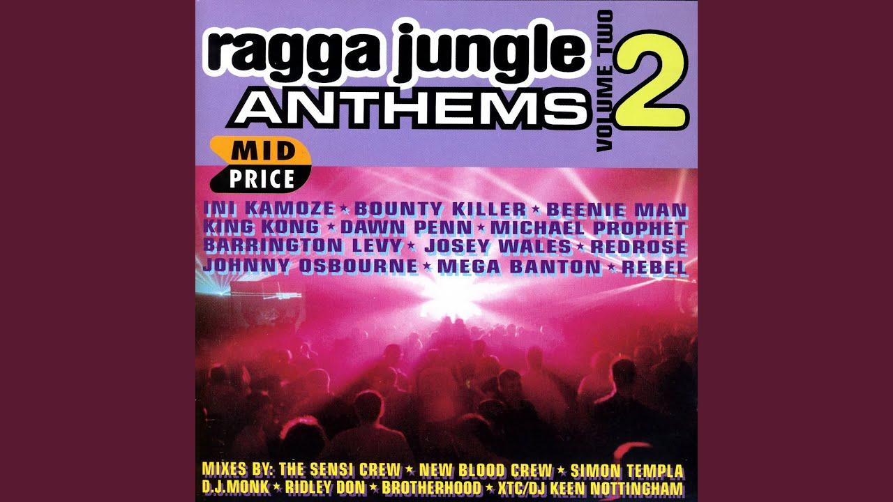 Ragga Jungle Anthems Vol. Two - Monk's Livin' Mix