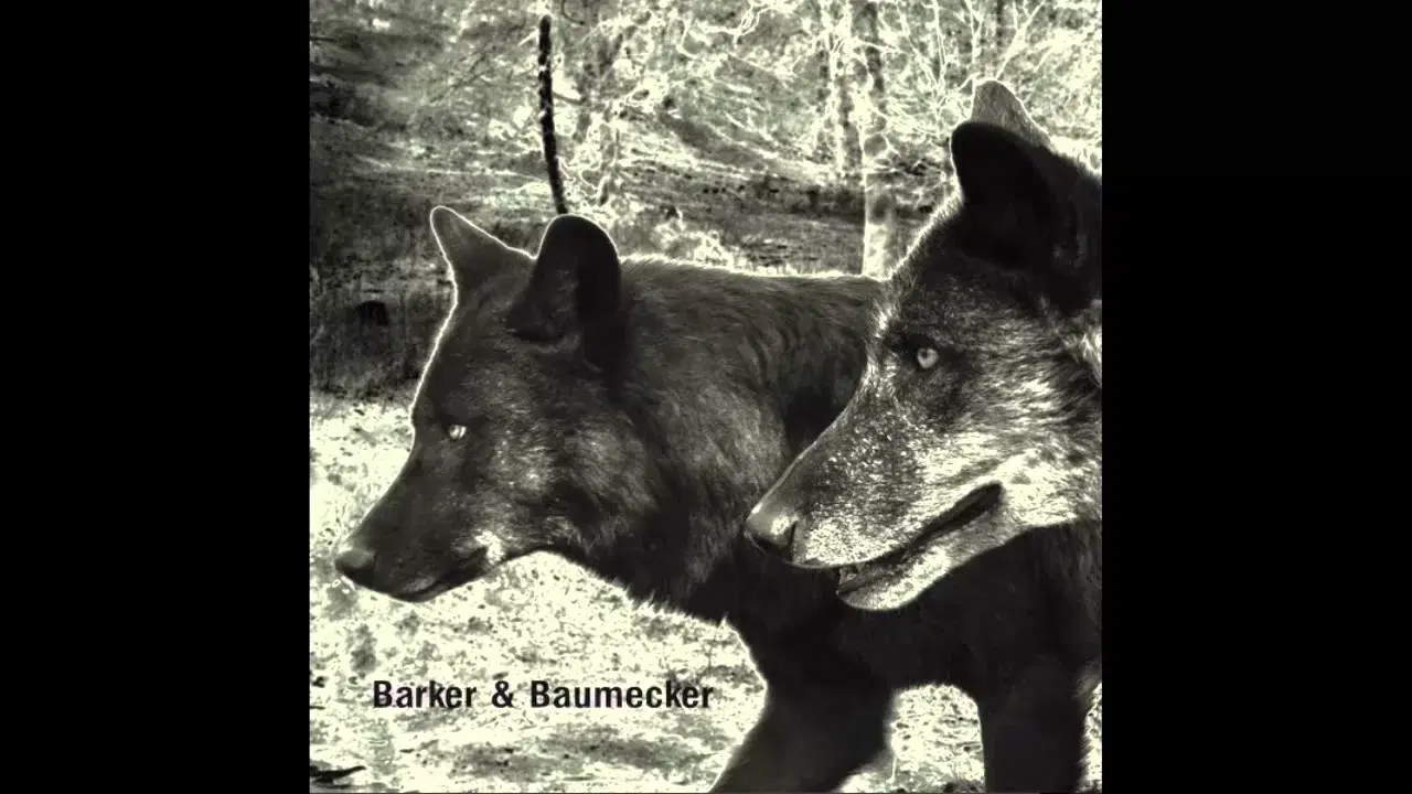 Transsektoral - Barker & Baumecker