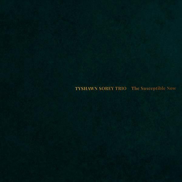 The Susceptible Now - Tyshawn Sorey