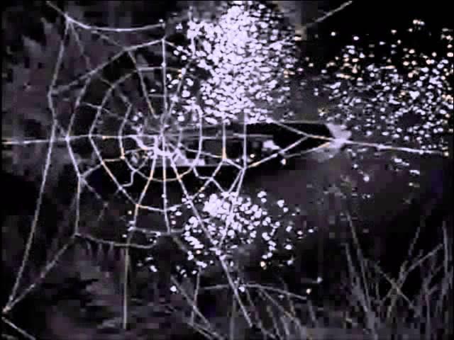 The Night of the Hunter OST - Walter Schumann Feat. Sally Jane Bruce