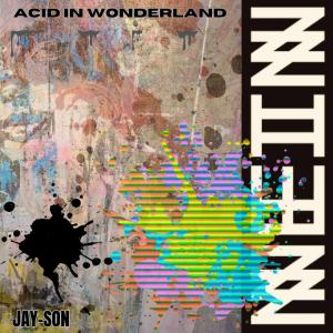 Acid In Wonderland - Jay-Son