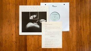 The Silver Apple - Peter Fish