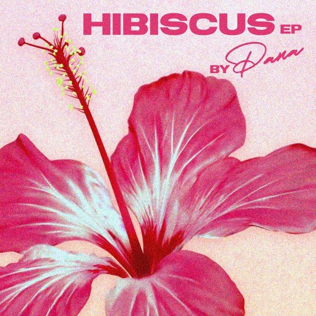 Hibiscus - Pana