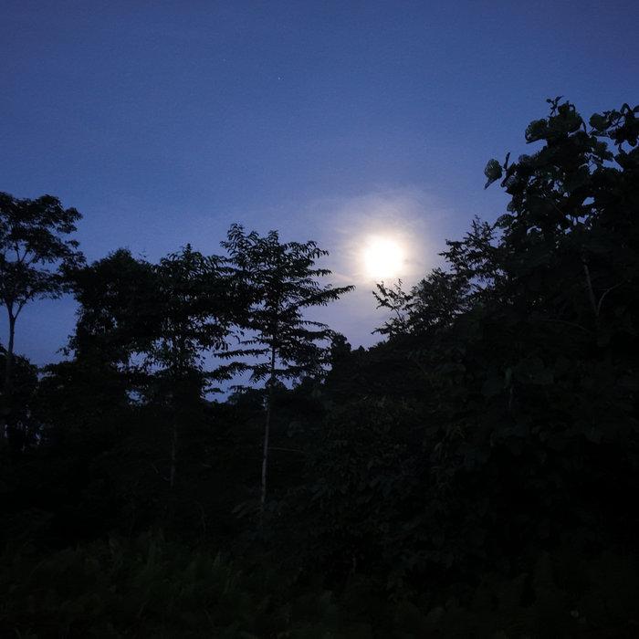 Usun Apau: The Lost World of Borneo - Jan Brelih