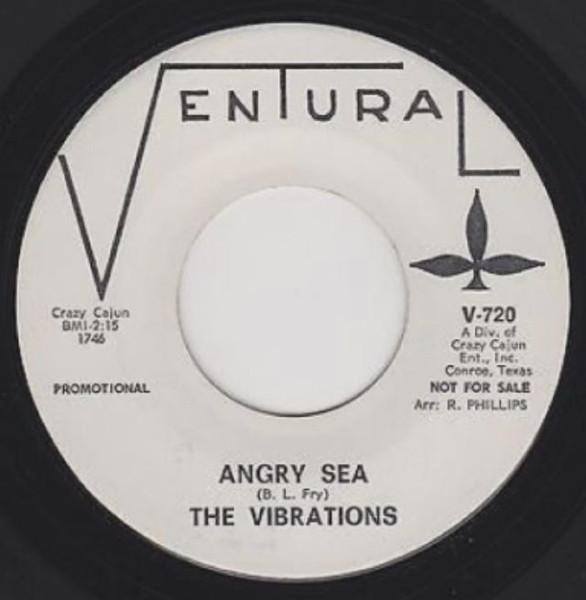 - The Vibrations