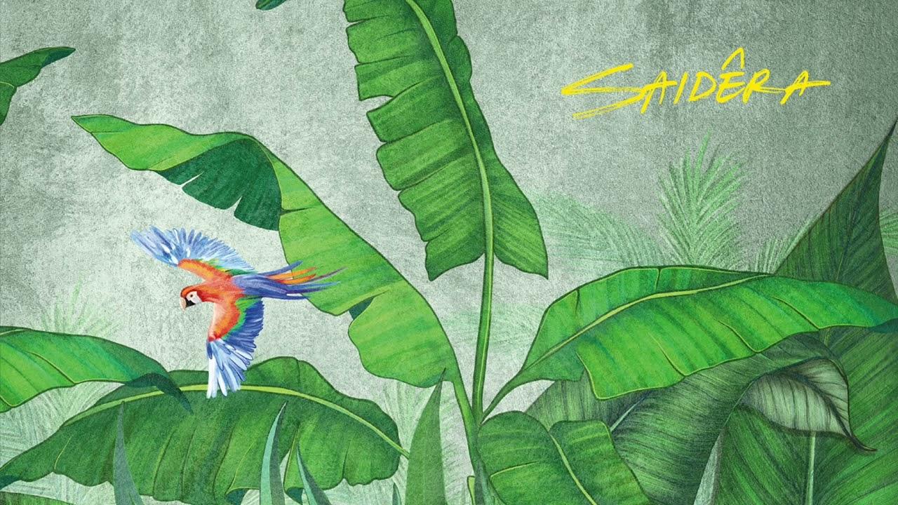 Luzes Da Cidade - Saidêra