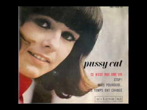 Ce N’est Pas Une Vie - Pussy Cat