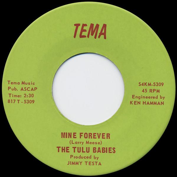 Sixties Archives Vol. 4 Florida & New Mexico Punk - The Tulu Babies