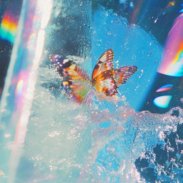 Jiaolong - Daphni
