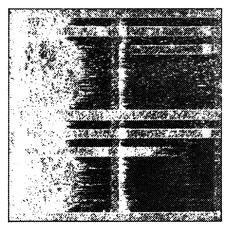 SLOW0860 - Fracture
